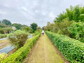 丸園 6